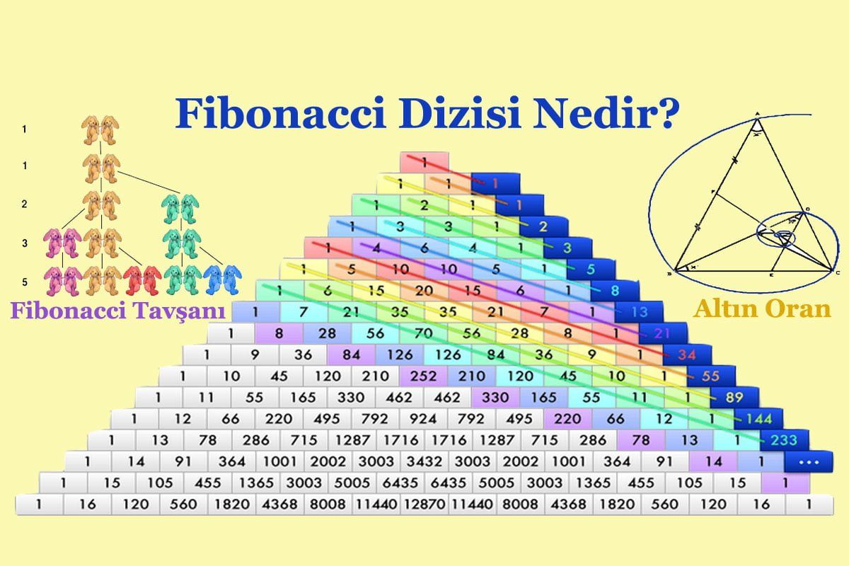 Sistema fibonacci ruleta