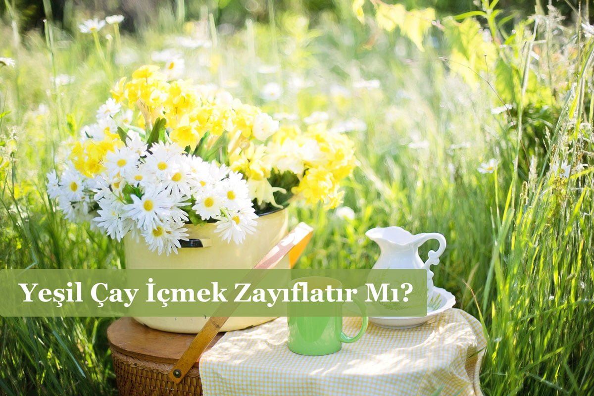 Yeşil Çay İçmek Zayıflatır Mı?