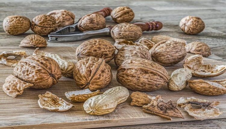 Sabah Aç Karnına Ceviz Yemek Zayıflatır Mı?