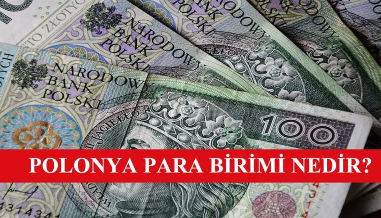 Polonya Para Birimi Nedir?